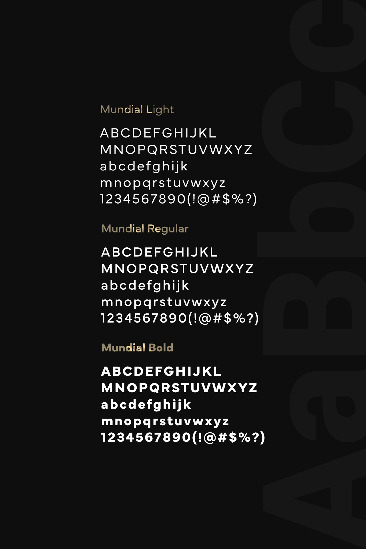 Reco Imobiliare Branding - Wolf Concept - Oradea