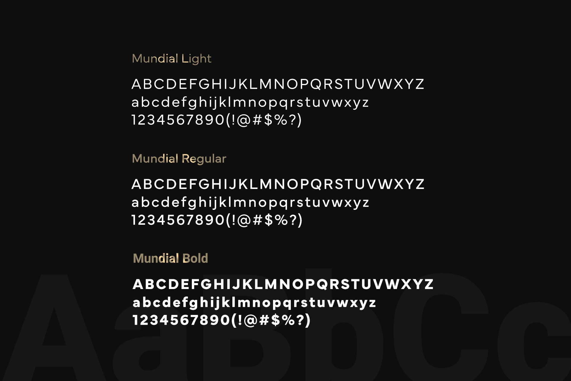 Reco Imobiliare Branding - Wolf Concept - Oradea