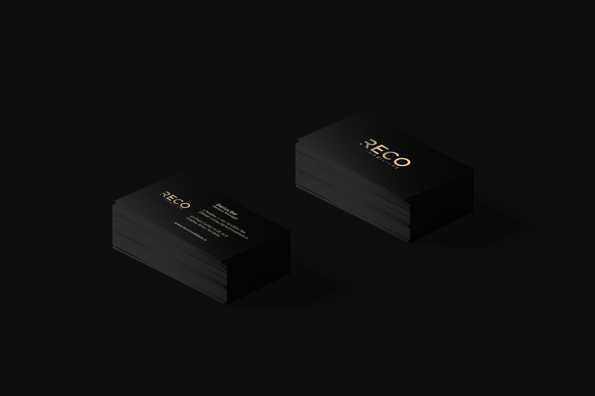 Reco Imobiliare Branding - Wolf Concept - Oradea