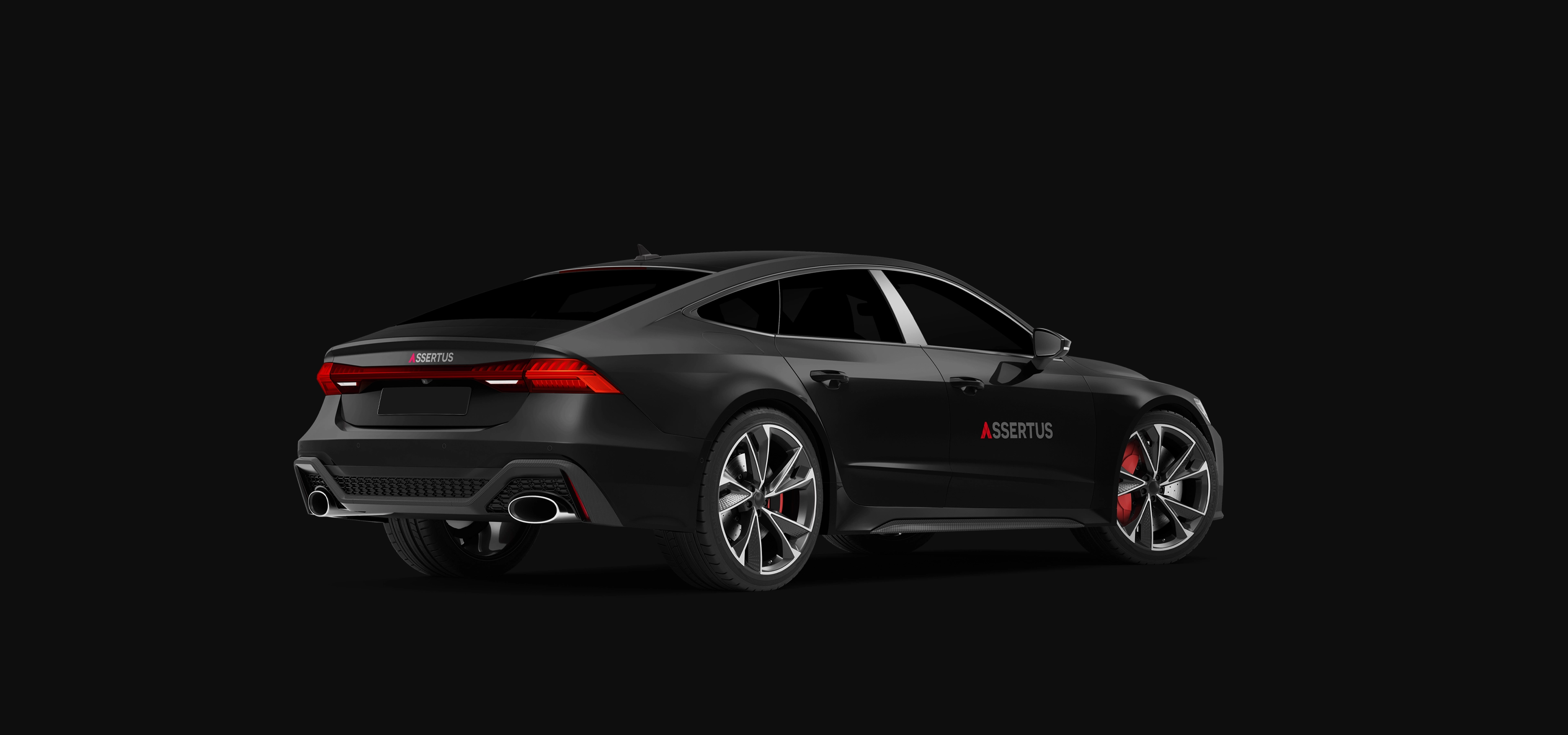 Assertus - Branding - Wolf Concept - Oradea