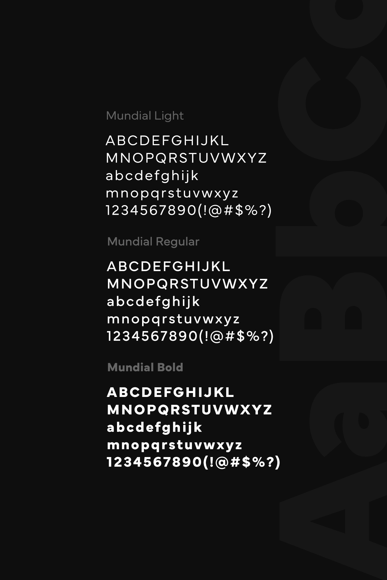 Assertus - Branding - Wolf Concept - Oradea