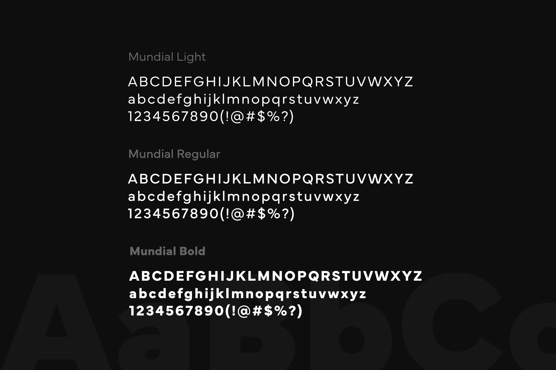 Assertus - Branding - Wolf Concept - Oradea