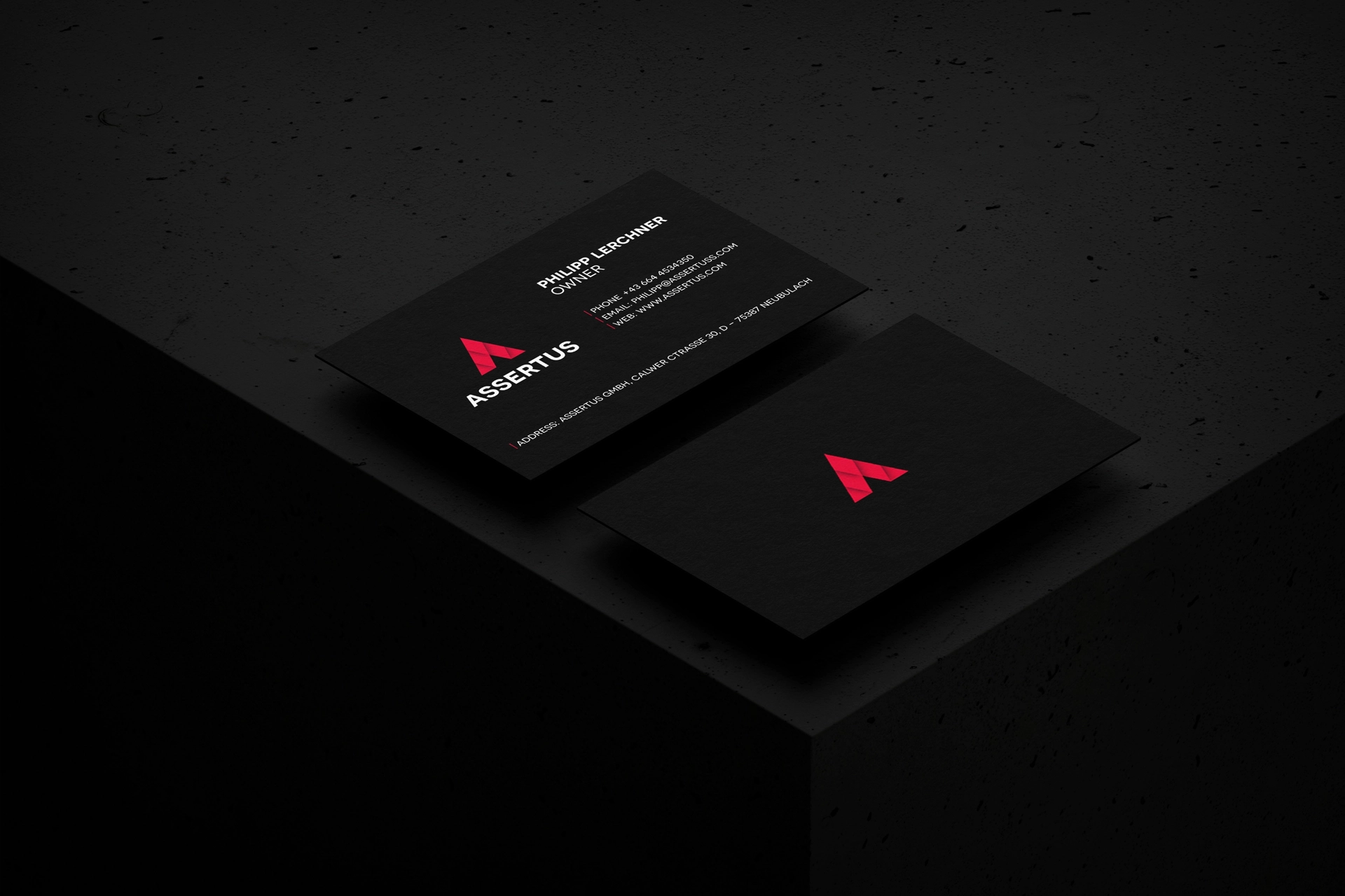 Assertus - Branding - Wolf Concept - Oradea