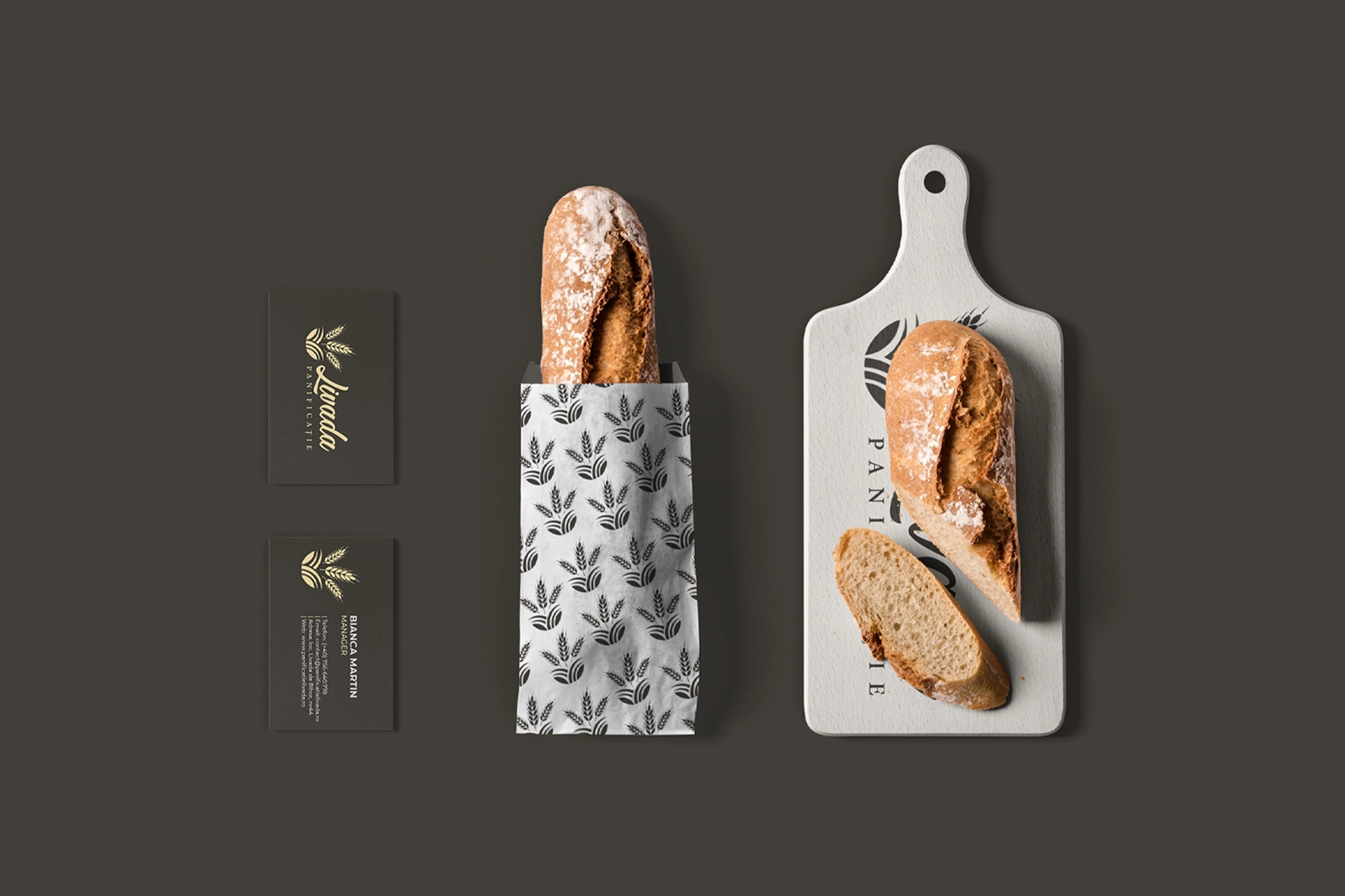 Demcon - Branding - Wolf Concept - Oradea