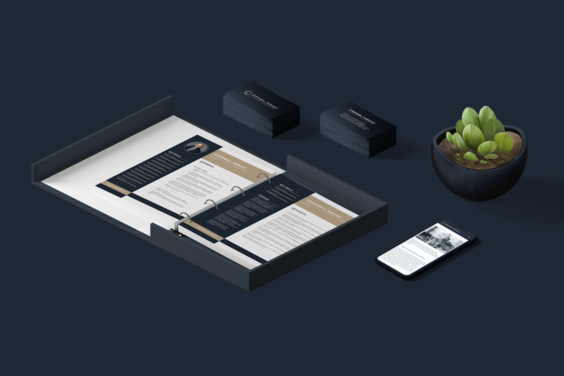 Stephen Wright - Branding - Wolf Concept - Oradea