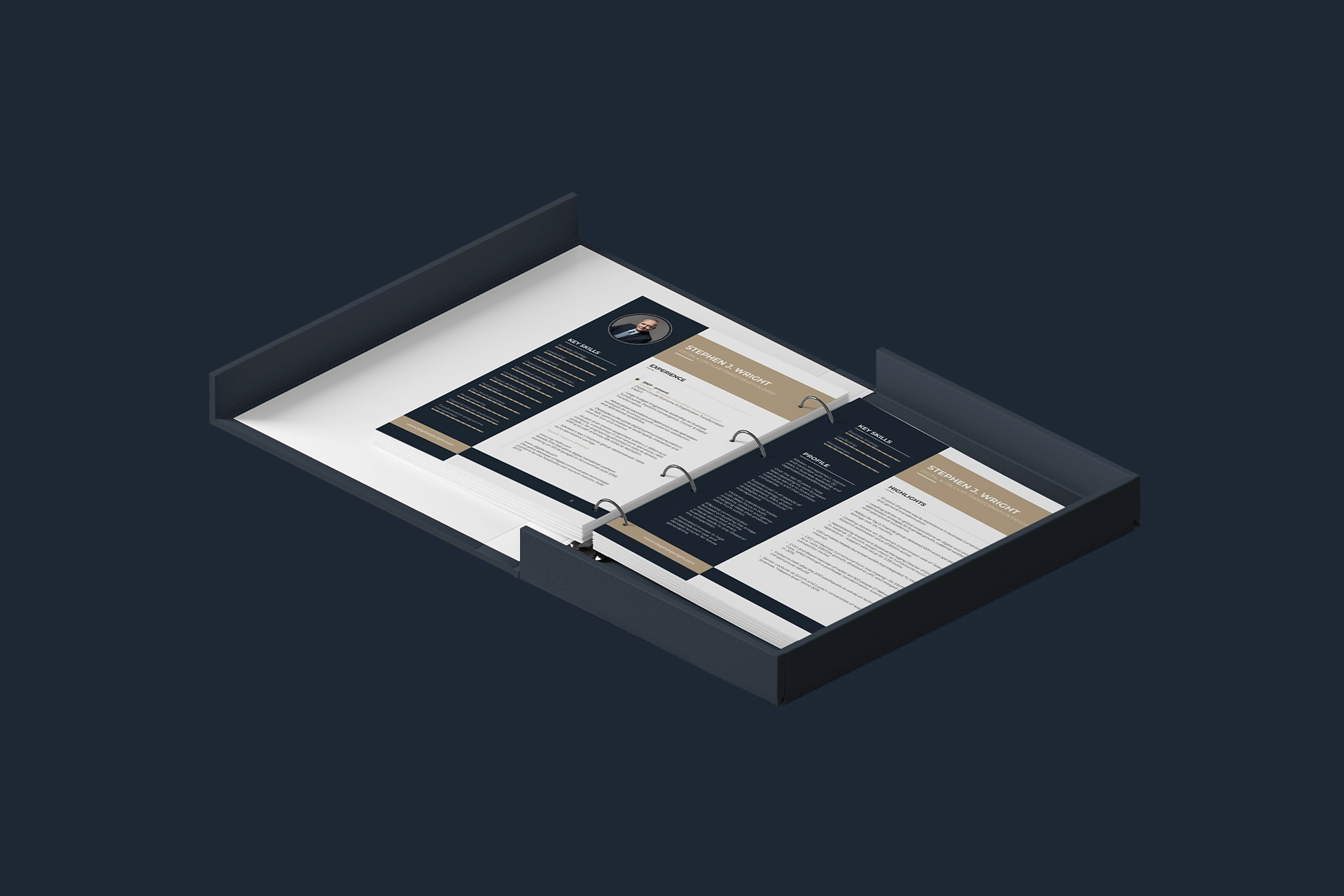 Stephen Wright - Branding - Wolf Concept - Oradea