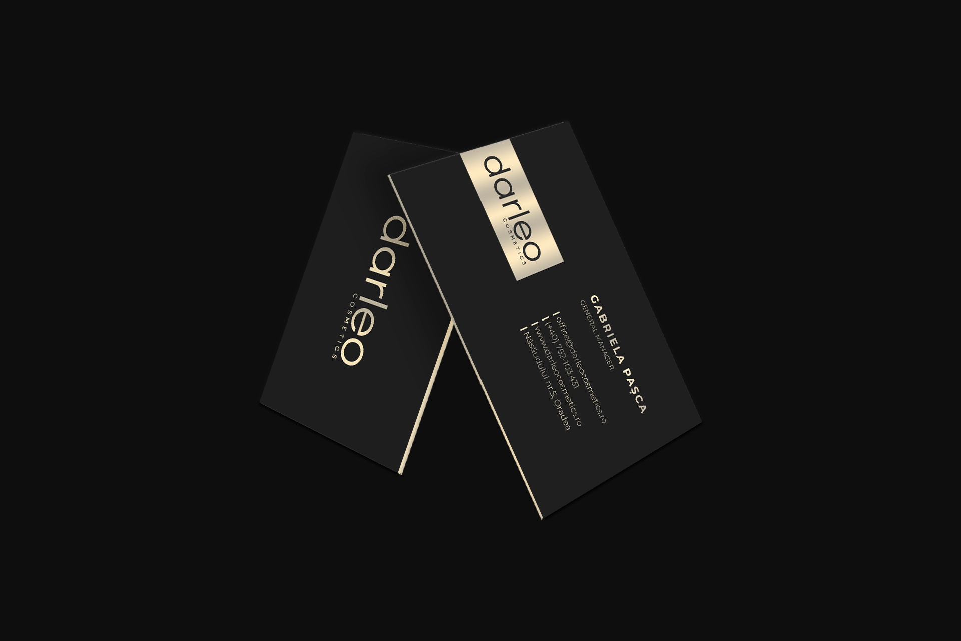 Darleo Branding - Wolf Concept - Oradea