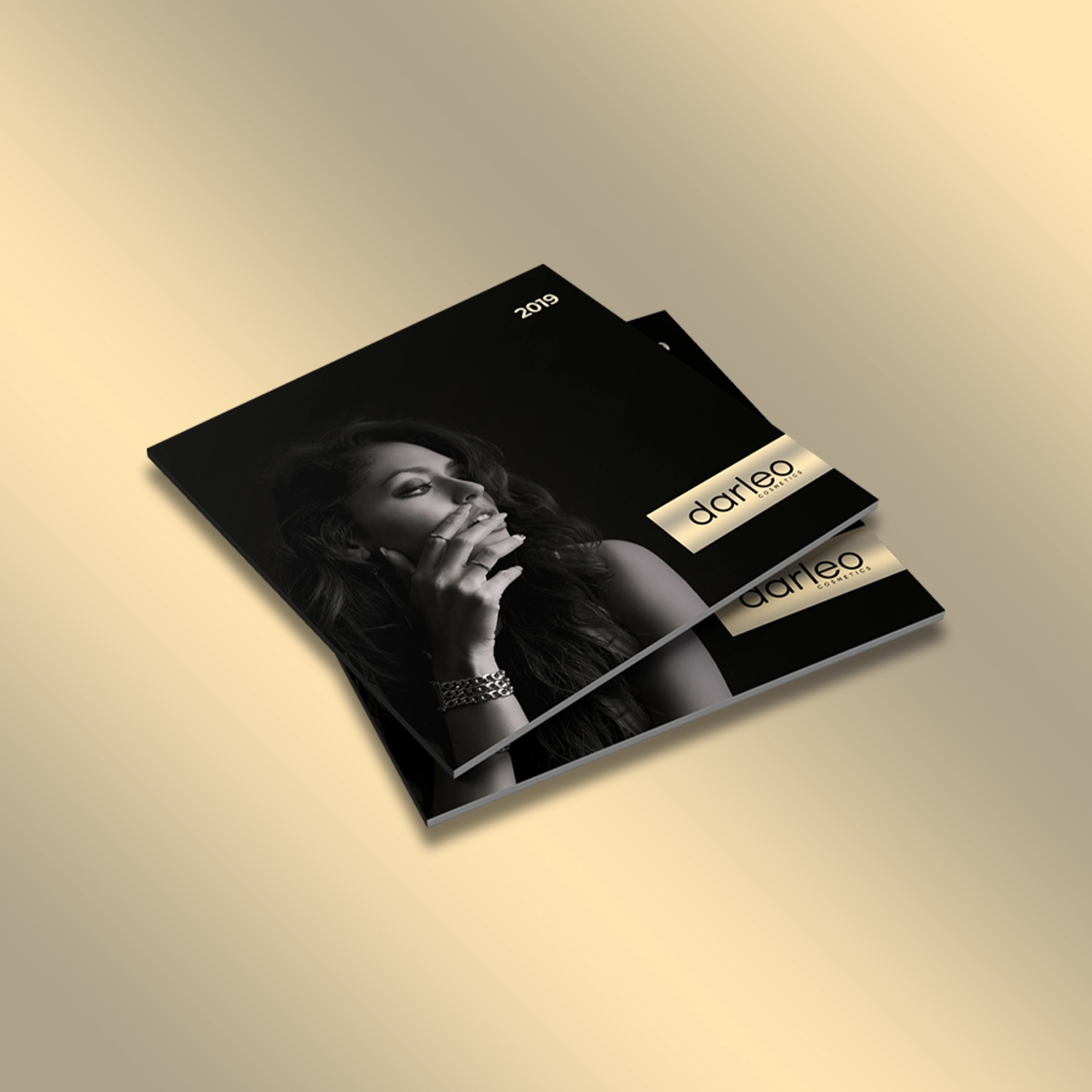 Darleo Branding - Wolf Concept - Oradea